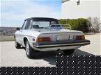 1981 Alfa Romeo Spider Picture 4