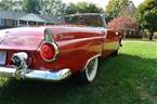 1955 Ford Thunderbird Picture 4