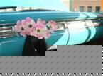 1959 Edsel Ranger Picture 4