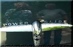 1950 Chevrolet Styleliner Picture 4