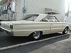 1966 Plymouth Satellite Picture 4