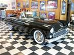 1956 Ford Thunderbird Picture 4