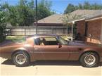 1979 Pontiac Trans Am Picture 4