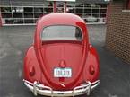 1961 Volkswagen Beetle Picture 4