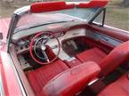 1961 Ford Thunderbird Picture 4