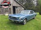 1966  Ford Mustang Picture 4