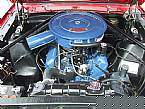 1966 Ford Mustang Picture 4