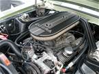 1968 Shelby GT Hertz Picture 4
