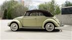 1957 Volkswagen Beetle Picture 4