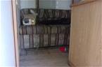 2003 Other 4 Horse Trailer Picture 4
