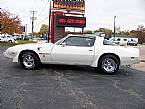 1979 Pontiac Trans Am Picture 4