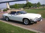 1988 Jaguar XJS Picture 4