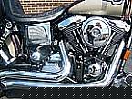 1998 Other H-D 95th Anniversary Picture 4