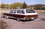 1976 Chrysler Town and Country Picture 4