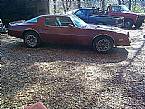 1977 Pontiac Firebird Picture 4