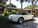 1953 Austin Healey Sebring Picture 4