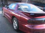 1995 Pontiac Firebird Picture 4