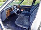 1984 Cadillac Sedan DeVille Picture 4