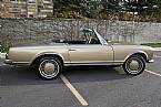 1970 Mercedes 280SL Picture 4