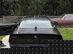 1979 Pontiac Trans Am Picture 4
