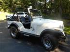 1980 Jeep CJ5 Picture 4