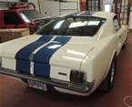 1966 Ford Shelby Picture 4