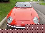 1967 Fiat Spyder Picture 4