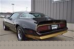 1978 Pontiac Firebird Picture 4