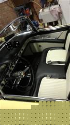 1955 Ford Thunderbird Picture 4