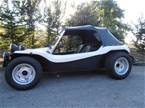 1974 Volkswagen Dune Buggy Picture 4