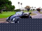 1964 Volkswagen Beetle Picture 4