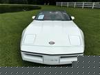 1990 Chevrolet Corvette Picture 4