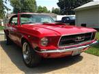 1967 Ford Mustang Picture 4