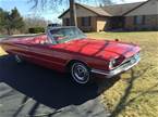 1966 Ford Thunderbird  Picture 4