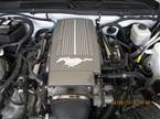 2007 Ford Mustang Picture 4