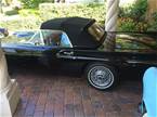 1957 Ford Thunderbird Picture 4