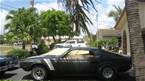 1969 Shelby Mustang Picture 4