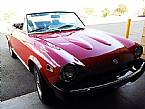 1977 Fiat Spider Picture 4