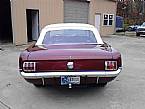 1966 Ford Mustang Picture 4