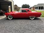 1955 Ford Thunderbird Picture 4