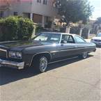 1975 Chevrolet Caprice Picture 4