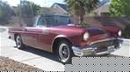 1957 Ford Thunderbird Picture 4