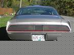 1979 Pontiac Trans Am Picture 4
