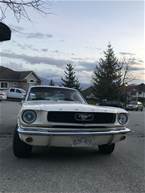 1966 Ford Mustang Picture 4