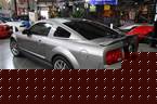 2008 Ford Shelby Picture 4