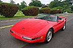 1994 Chevrolet Corvette Picture 4