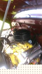 1955 Ford F100 Picture 4