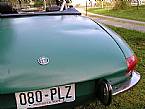 1969 Alfa Romeo Gulia Picture 4