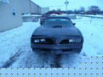 1977 Pontiac Trans Am Picture 4