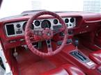 1980 Pontiac Trans Am Picture 4